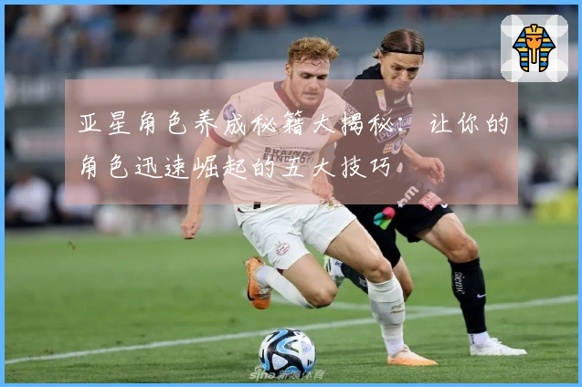 亚星角色养成秘籍大揭秘：让你的角色迅速崛起的五大技巧